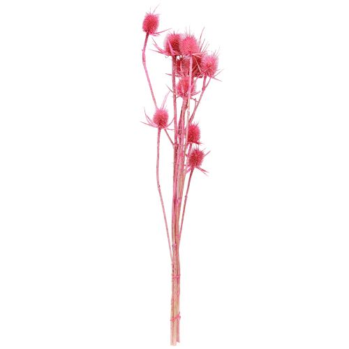 Product Wild Cardoon Dry Decoration Cardoon Thistles 53cm 10 Heads 3 Pcs
