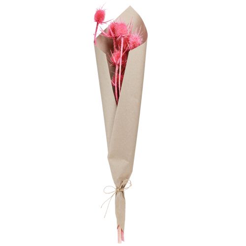Product Dry Wild Teasel Dried Flowers Pink 53cm 10 Heads 3pcs