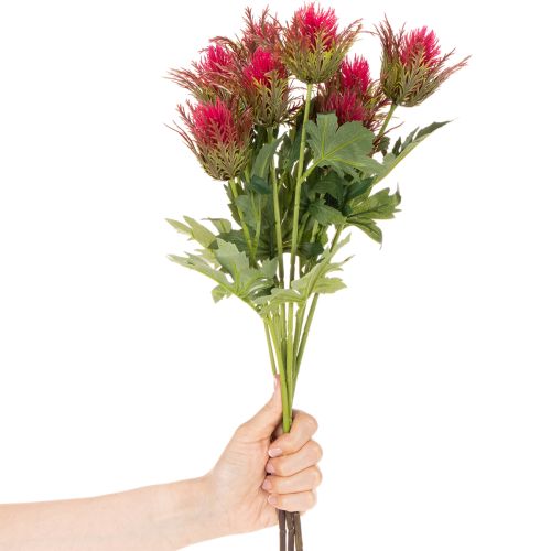 **Artificial Red Thistle Stem 67cm Decorative Branch Set of 3**

```html
<h2>Artificial Red Thistle Stem for Home Decoration</h2>

<p>
This artificial red thistle stem, standing 67cm tall, is a decorative branch perfect for enhancing your indoor spaces. D | Floristik24.co.uk