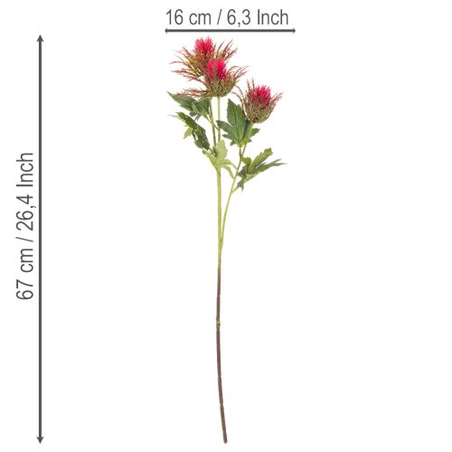**Artificial Red Thistle Stem 67cm Decorative Branch Set of 3**

```html
<h2>Artificial Red Thistle Stem for Home Decoration</h2>

<p>
This artificial red thistle stem, standing 67cm tall, is a decorative branch perfect for enhancing your indoor spaces. D | Floristik24.co.uk