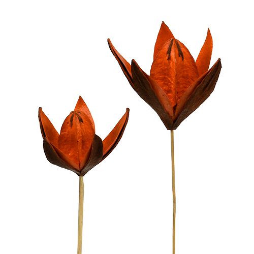 Floristik24 Wild lily on a stem orange 45pcs