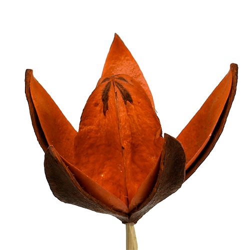 Product Wild lily on a stem orange 45pcs