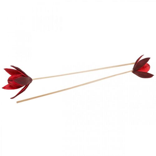 Floristik24 Wild lily on a stem red Ø6.5cm 35cm 45 pcs