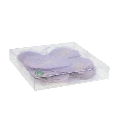 Floristik24 Willow leaves skeletonized light purple 200 pcs.