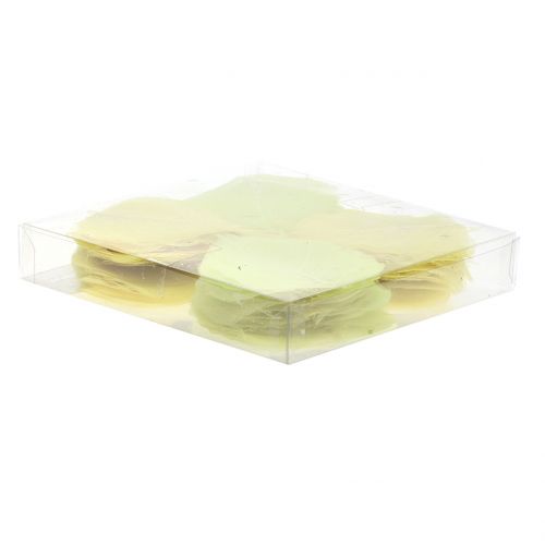 Floristik24 Willow leaves skeletonized yellow mix 200 pcs