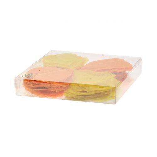 Floristik24 Willow leaves skeletonized yellow, orange 200 pcs