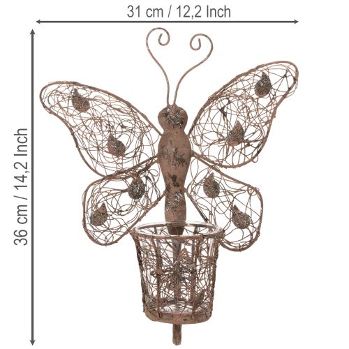 Metal lantern, wall decoration, butterfly, rust finish, 36.5cm | Floristik24.co.uk