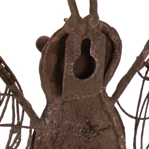 Metal lantern, wall decoration, butterfly, rust finish, 36.5cm | Floristik24.co.uk