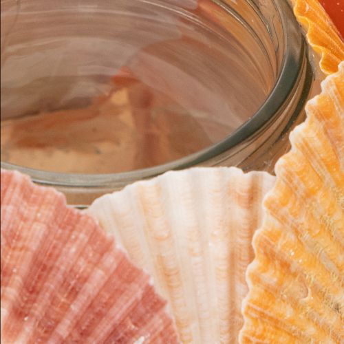 Product Nautical tealight holder, lantern, real seashells, decoration for bathroom, holiday atmosphere, 12cm