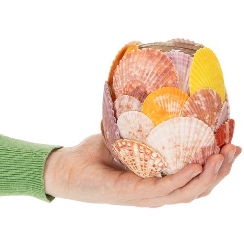 Product Nautical tealight holder, lantern, real seashells, decoration for bathroom, holiday atmosphere, 12cm