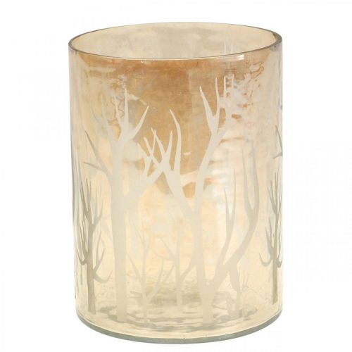 Floristik24 Lantern Glass Trees Brown Candle Glass Ø12cm H15cm