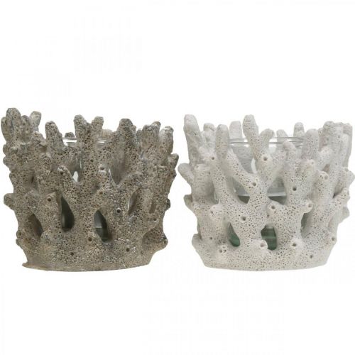 Floristik24 Lantern with glass in coral design maritime decoration white artificial Ø9.5cm 2pcs