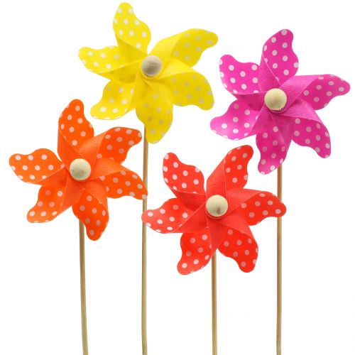 Floristik24 Windmill mini assorted colors with dots Ø8cm 12pcs