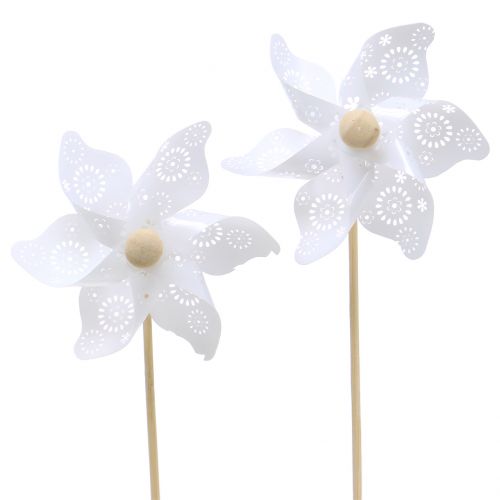 Floristik24 Windmill Mini White Ø9cm 12pcs