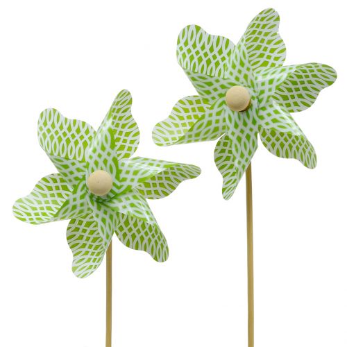 Floristik24 Windmill Mini Green-White Ø9cm 12p