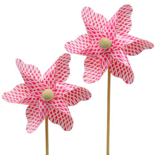 Floristik24 Windmill Mini Red-White Ø9cm 12pcs