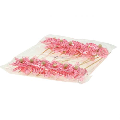 Floristik24 Windmill Mini Red-White Ø9cm 12pcs