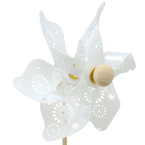 Floristik24 Windmill Mini White Ø9cm 12pcs