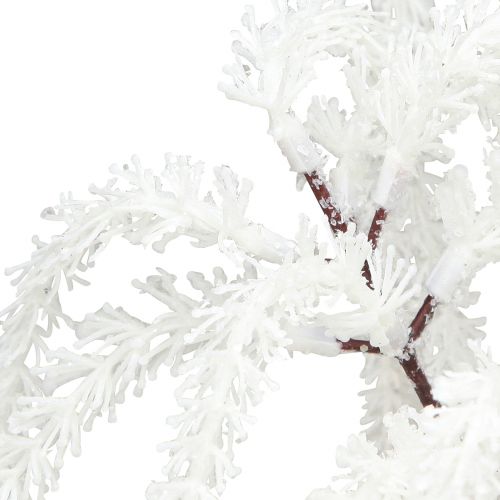 Floristik24 Decorative branch weeping willow winter decoration white glitter 82cm 2pcs