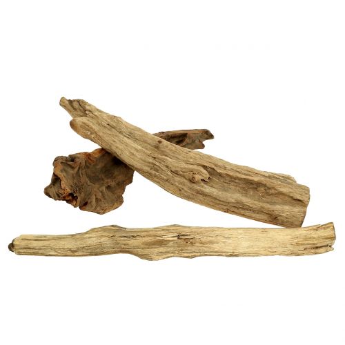 Floristik24 Root wood pieces natural 500g