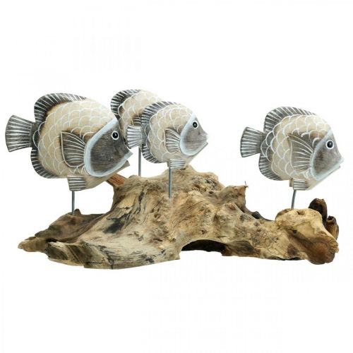 Floristik24 Decorative fish on root wood Maritime decorative figures brown 38cm
