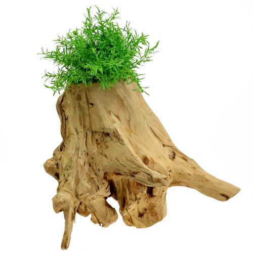 Floristik24 Deco pot root nature 33cm x 29cm H30cm