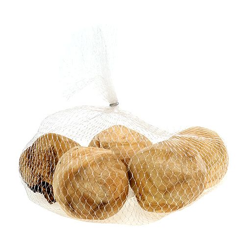 Floristik24 Root ball fir wood Ø7cm natural 5 pcs