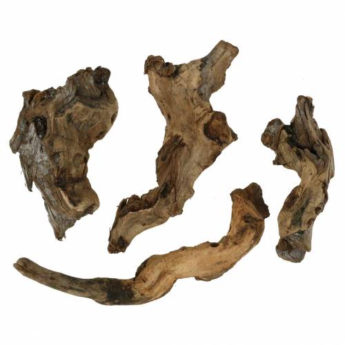 Floristik24 Decorative root natural 1kg