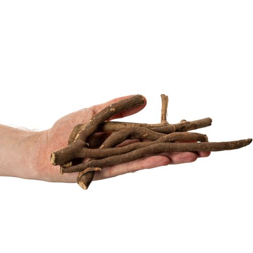 Natural Dried Decorative Wooden Branches 18cm 500g | Floristik24.co.uk