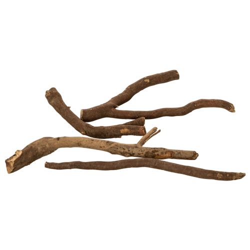 Natural Dried Decorative Wooden Branches 18cm 500g | Floristik24.co.uk