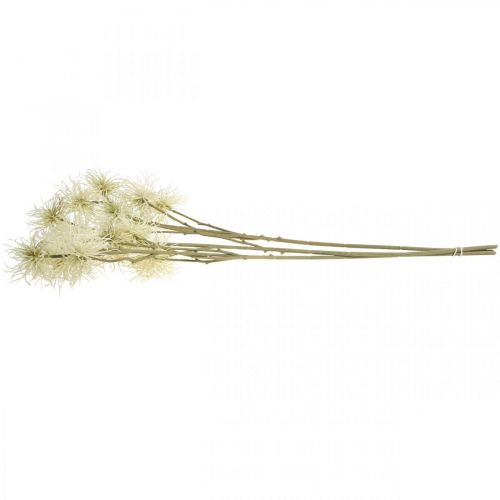 Product Xanthium artificial flower cream autumn decoration 6 flowers 80cm 3pcs