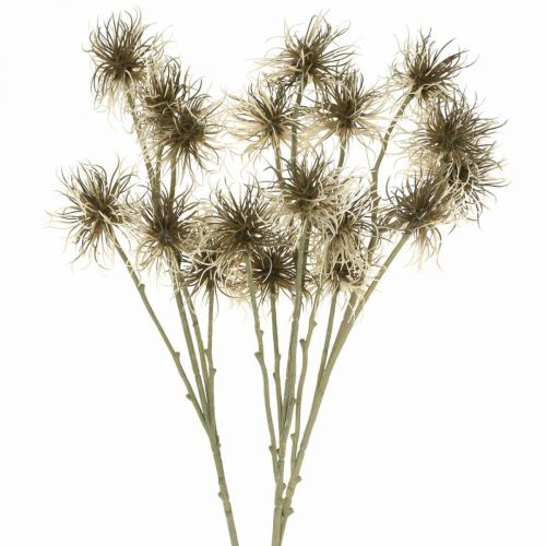 Floristik24 Xanthium artificial flower autumn decoration 6 blossoms cream, brown 80cm 3pcs