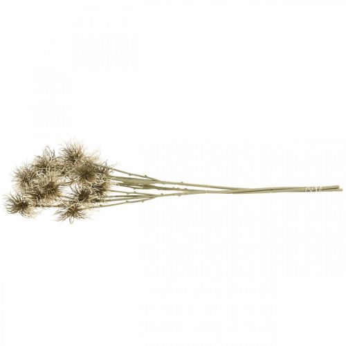 Product Xanthium artificial flower autumn decoration 6 flowers cream, brown 80cm 3pcs