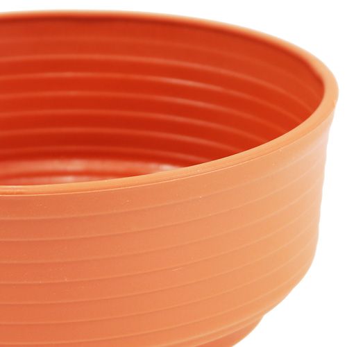 Product Z-bowl plastic Ø 16cm - 22cm 10 pieces