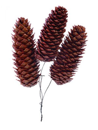 Product Spruce cones waxed wired 200pcs