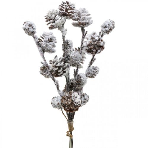 Floristik24 Christmas branches cone branch Snowed 30cm 5pcs in bunch