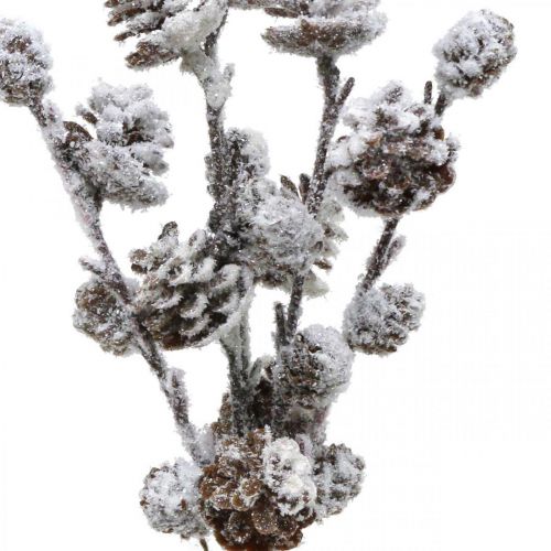 Product Christmas Branches Cone Branch Snowed 30cm 5 pcs in bunch