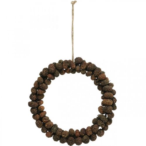 Floristik24 Cone wreath alder cone decorative wreath to hang nature Ø25cm