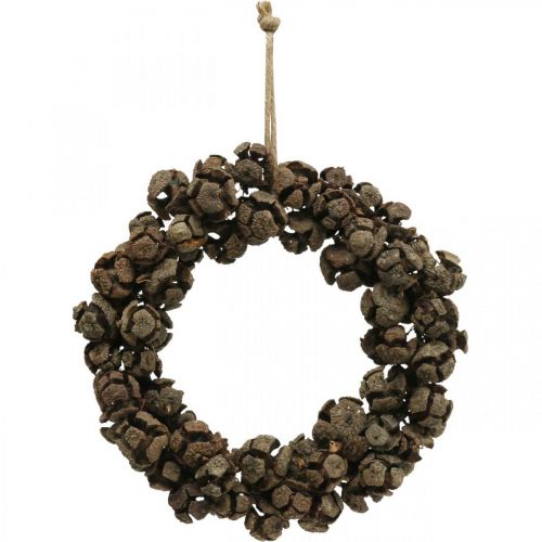 Floristik24 Cone wreath cypress cone wreath door wreath nature Ø20cm