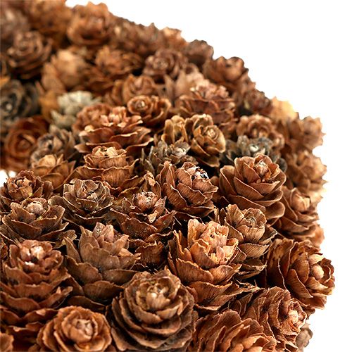 Floristik24 Cones made of alder cones Ø27cm nature