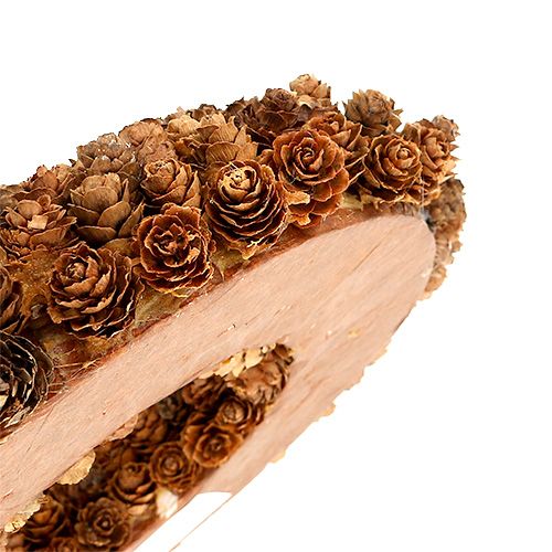 Floristik24 Cones made of alder cones Ø27cm nature