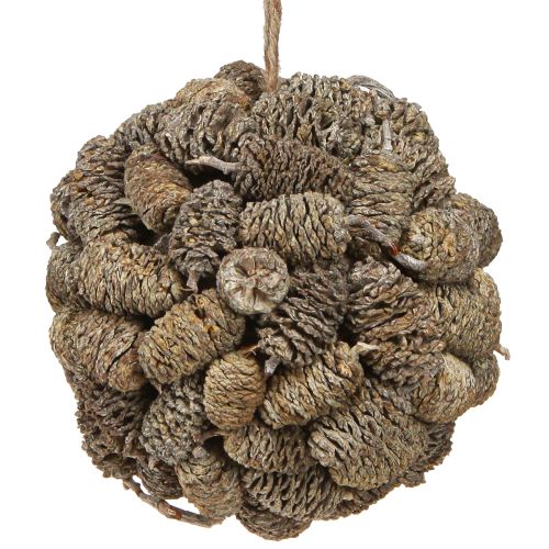 Floristik24 Cone ball for hanging alder cones white washed 12cm