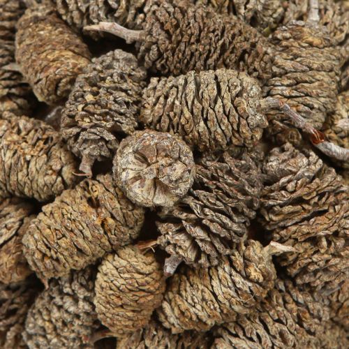 Floristik24 Cone ball for hanging alder cones white washed 12cm