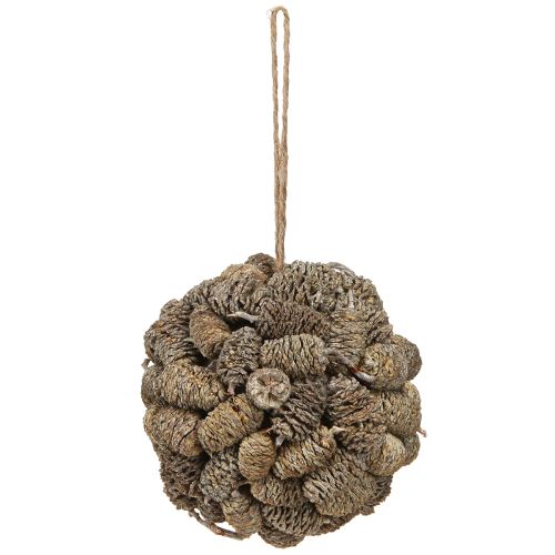 Floristik24 Cone ball for hanging alder cones white washed 12cm