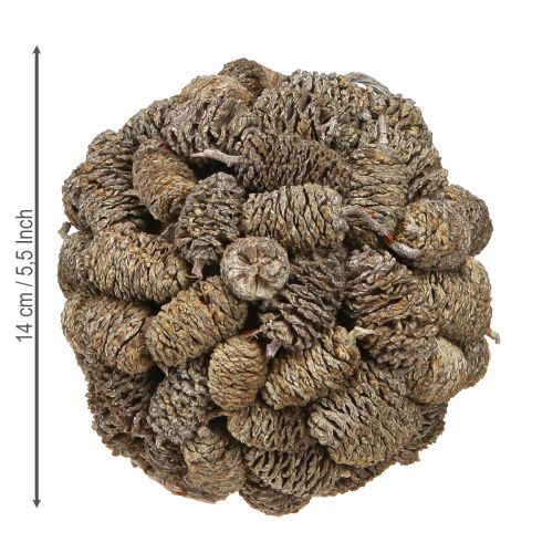 Product Cone ball for hanging alder cones white washed 12cm