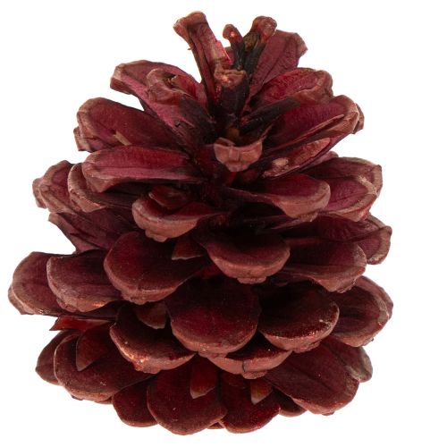 ProductName  
Natural Pine Cone Mix for Crafts and Festive Decoration 2-10cm 400g  

ProductDescription  
<div>  
<h2>Natural Pine Cone Mix for Crafts and Seasonal Styling</h2>  

<p>Bring a touch of natural woodland charm to your home this festive season | Floristik24.co.uk