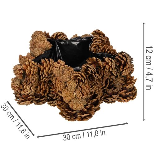 Natural Pinecone Star-Shaped