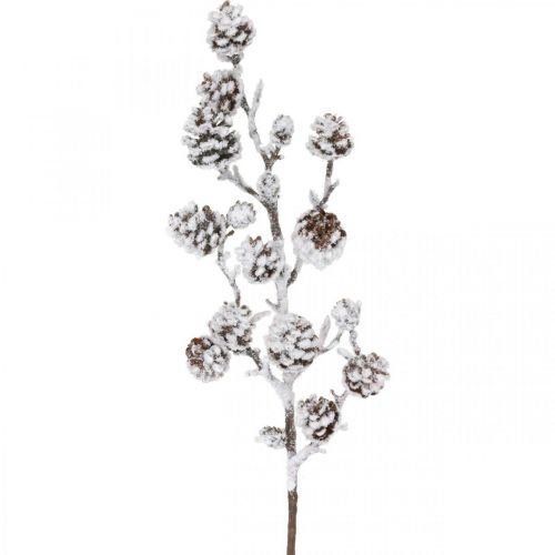 Product Christmas branch decorative branch cone branch snow-covered 72cm