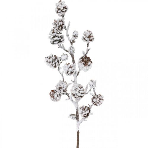 Floristik24 Christmas branch decorative branch cone branch snow-covered 72cm