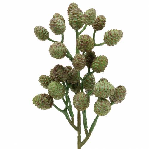 Floristik24 Cone Branch Green 33cm Artificial plant like the real thing!